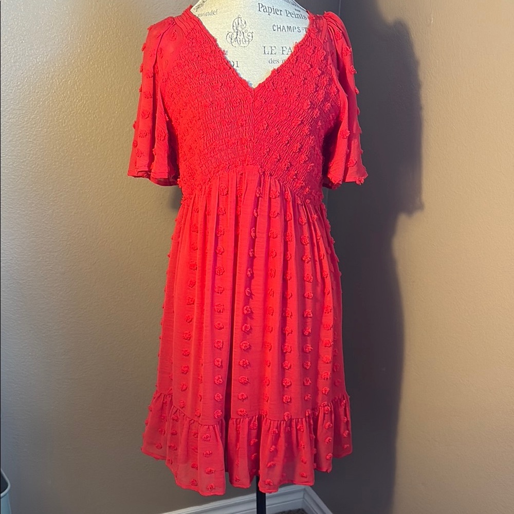 Elegant Red Textured Dress